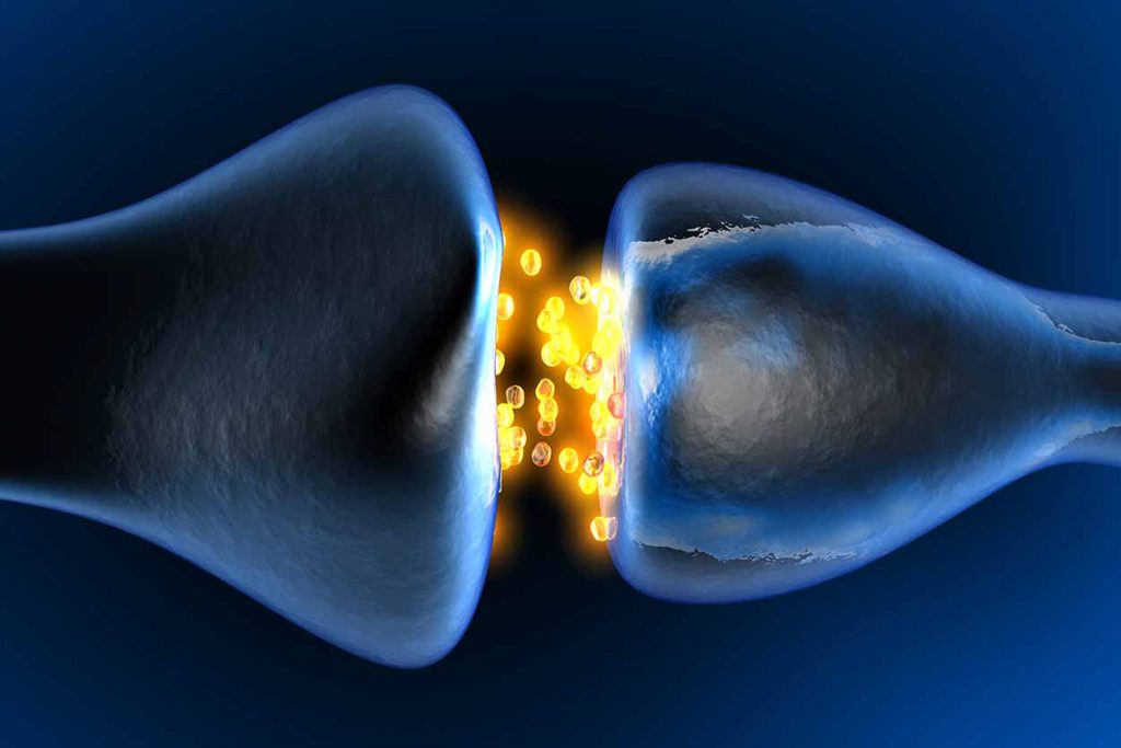 An illustration of a synapse - the space between two neurones